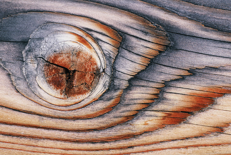 Wood pattern - close-up of knot. 